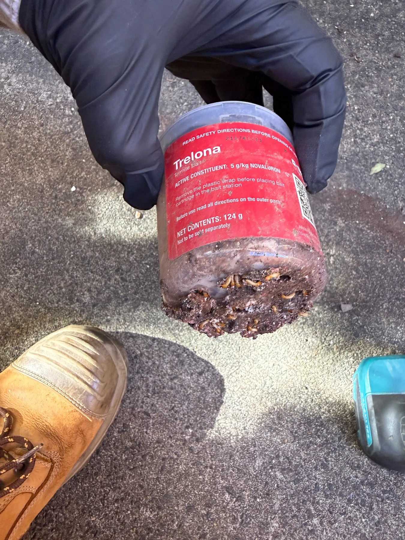 Termite entry and timber damage found during field inspection